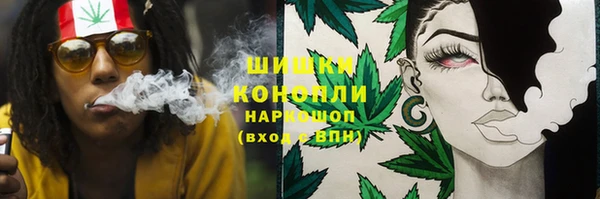 Альфа ПВП Алзамай