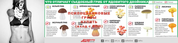Альфа ПВП Алзамай