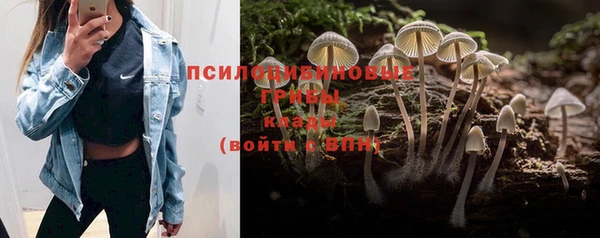 герыч Абинск