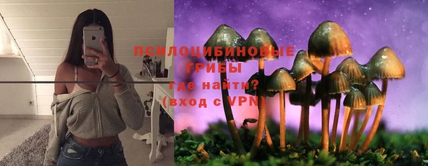 Альфа ПВП Алзамай